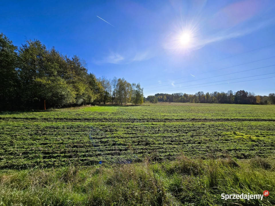 Działki budowlane Serock 15 jeziora Firlej Sprzedaż