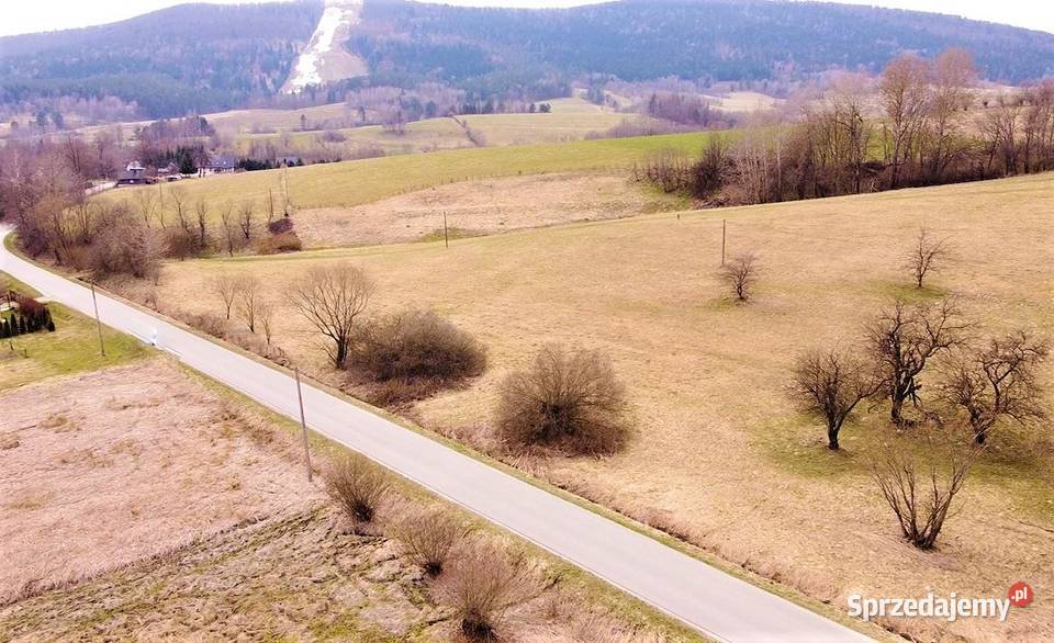 Działka 59a 4 Ustrzyk Dolnych Bieszczady 5900m2 podkarpackie Sanok sprzedam