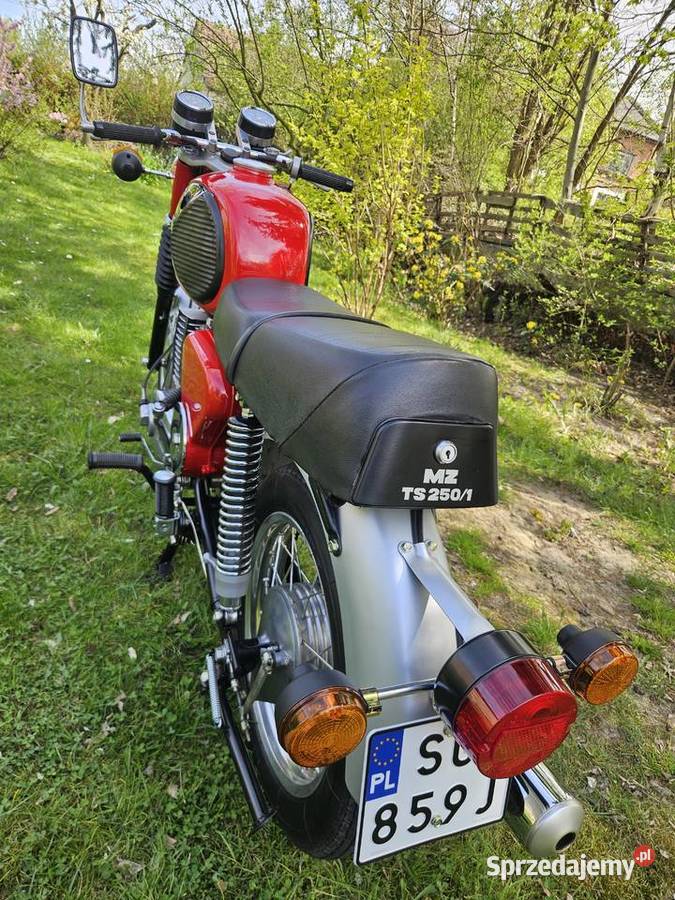 Mz ts 2501