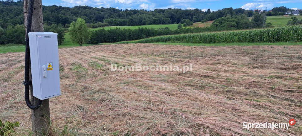 sprzedaży działki Bieńkowice 6000m
