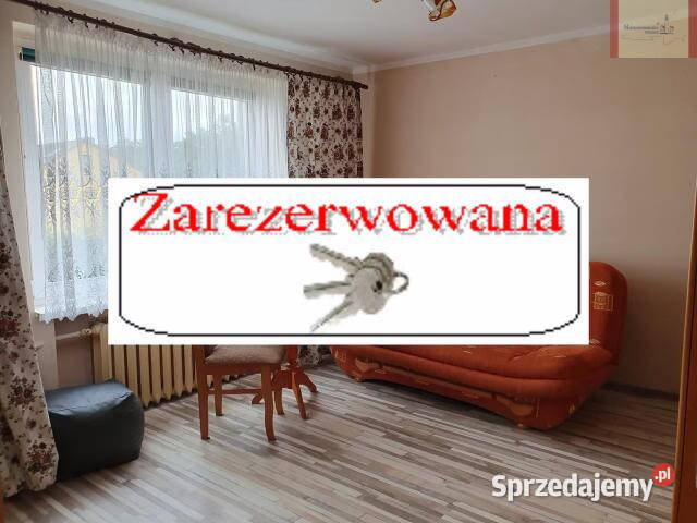 2 lokale z osobnym wejściem morzem inwestycja sprzedam