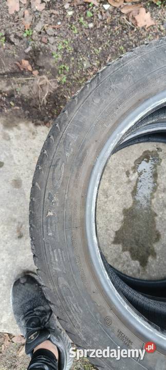 2x 2055516 opony całoroczne Dębica Nawigator 3 mazowieckie Pruszków