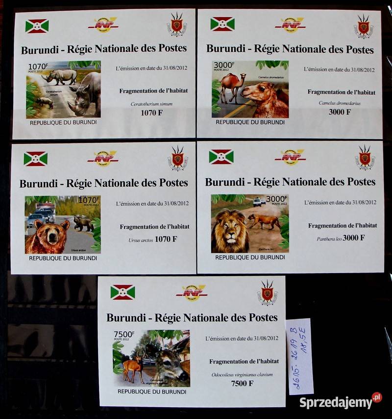 Burundi wielkopolskie sprzedam