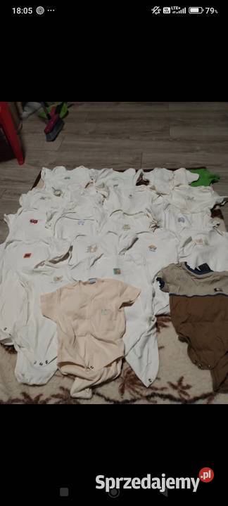 body z krótkim rękawem niemowlęce chłopięce chłopiec Poznań