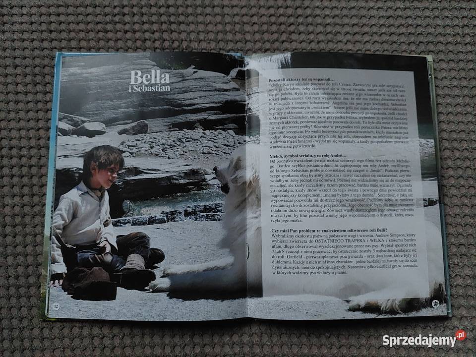 Bella i Sebastian film Nicolasa Vaniera Kraków sprzedam