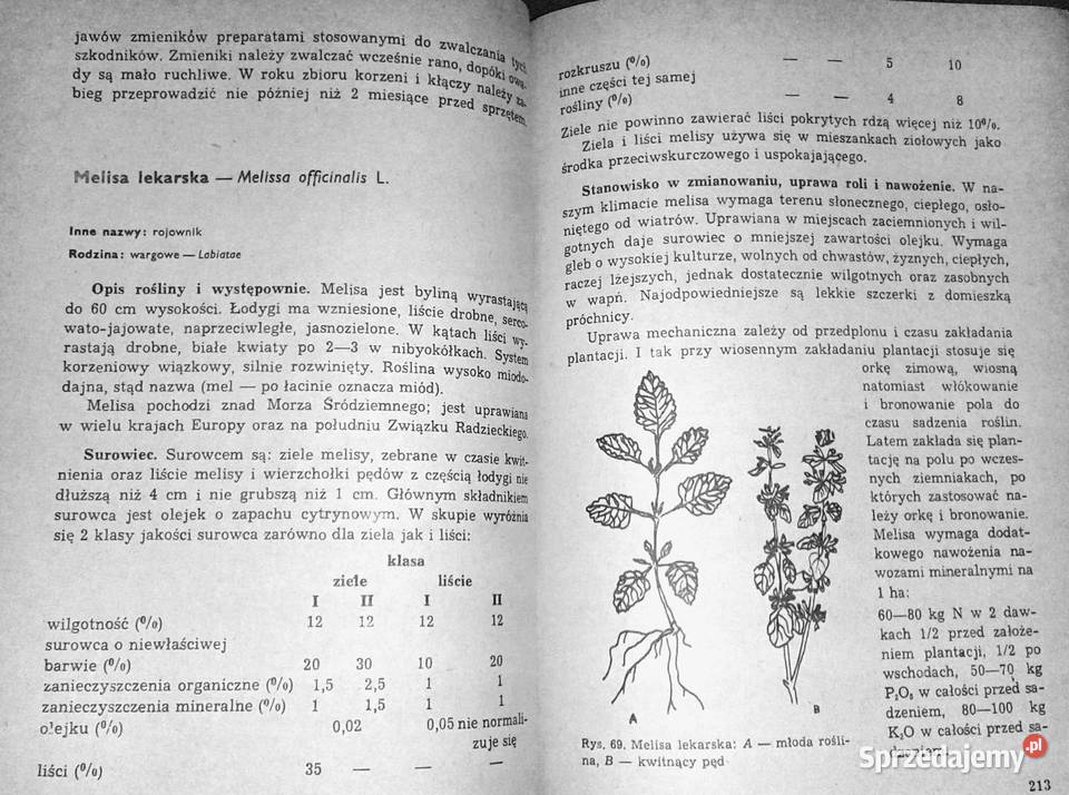 Poradnik plantatora ziół Antonina miękka lubelskie Chełm