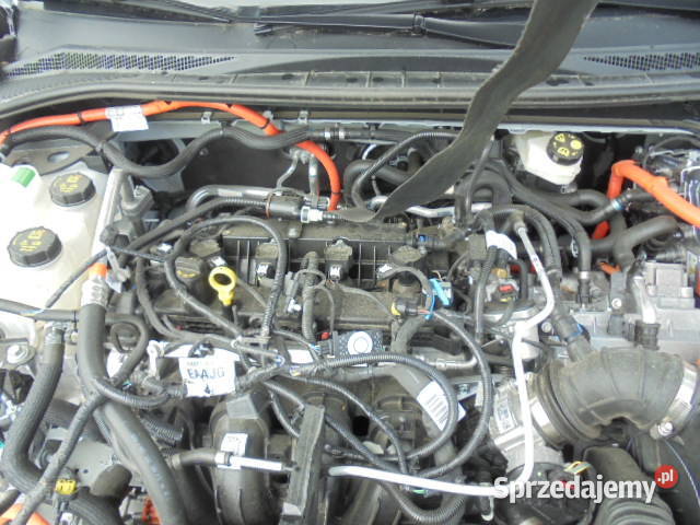 FORD Kuga 25 Duratec 190 FHEV E85 eCVT Titanium