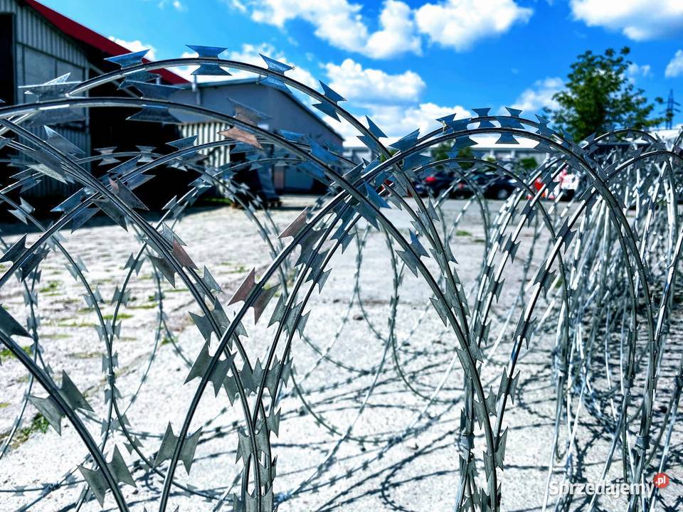 Zasieki płaskie z drutu ostrzowego 500 mm Szczecin