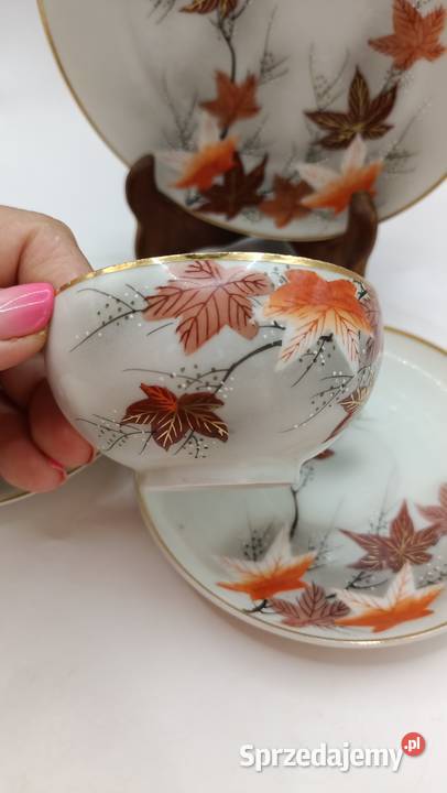 Dwa razy trio jesienne liście azjatycka Zamość