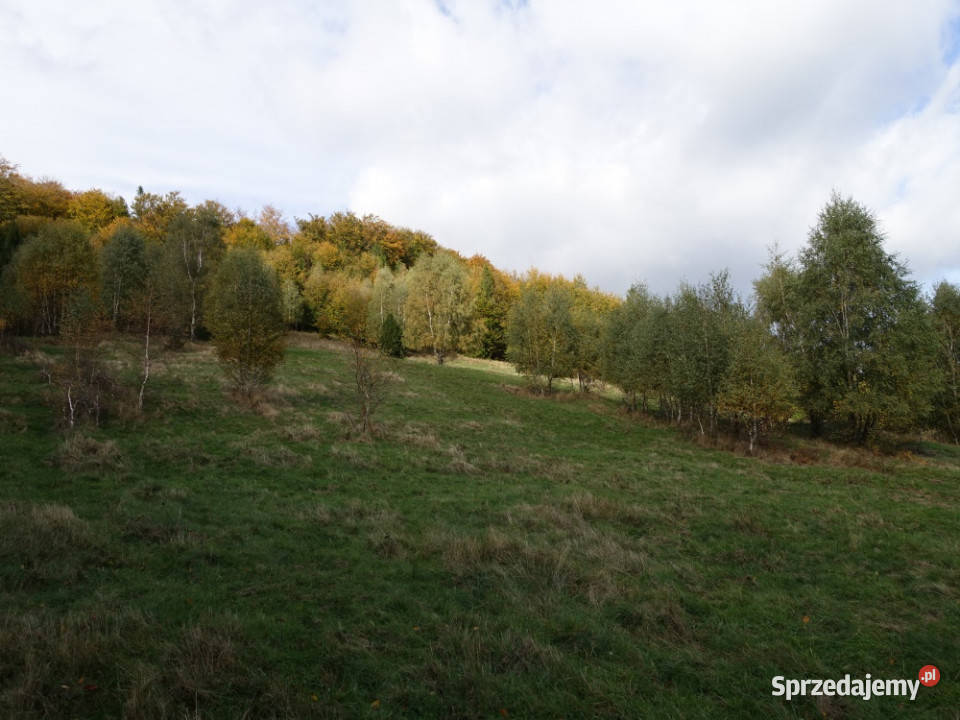 Brenna 2253 ha z prawem zabudowy wyciągu sprzedam