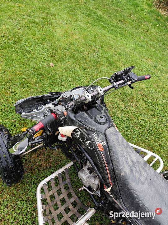 Gas gas wild 450 Strzyżów