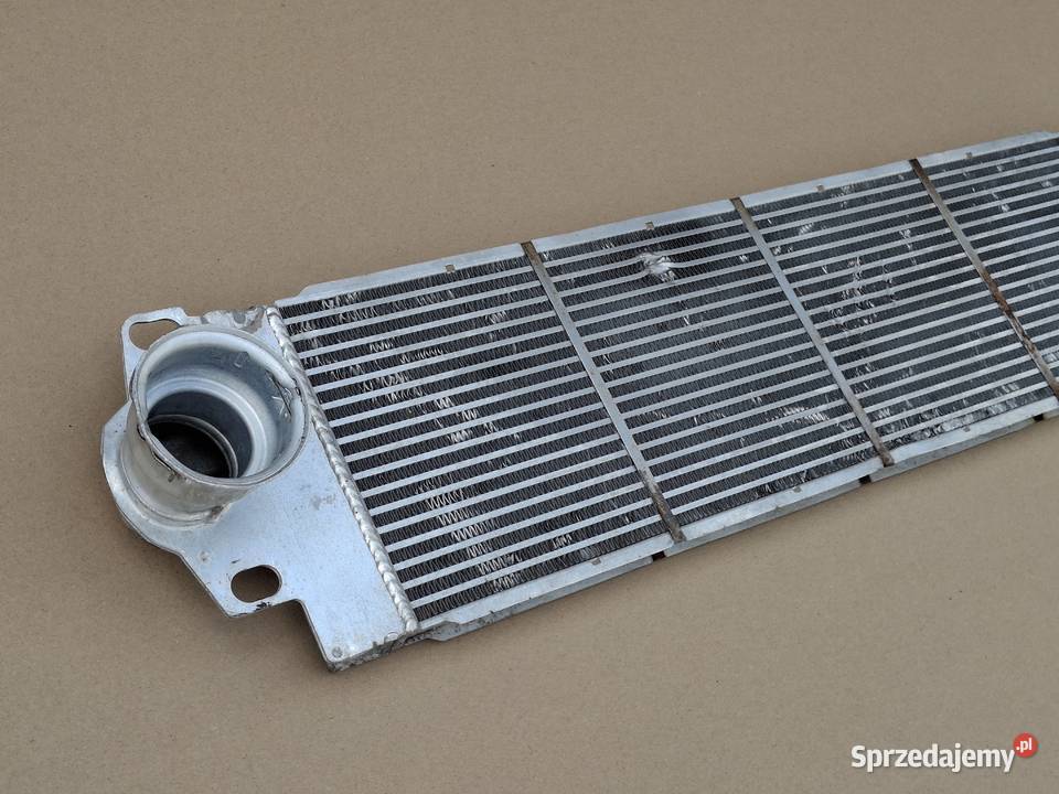 VW TRANSPORTER T5 T5 LIFT T6 INTERCOOLER Bieleń sprzedam