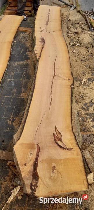 Brusy czereśnia gruszka 57 Babica