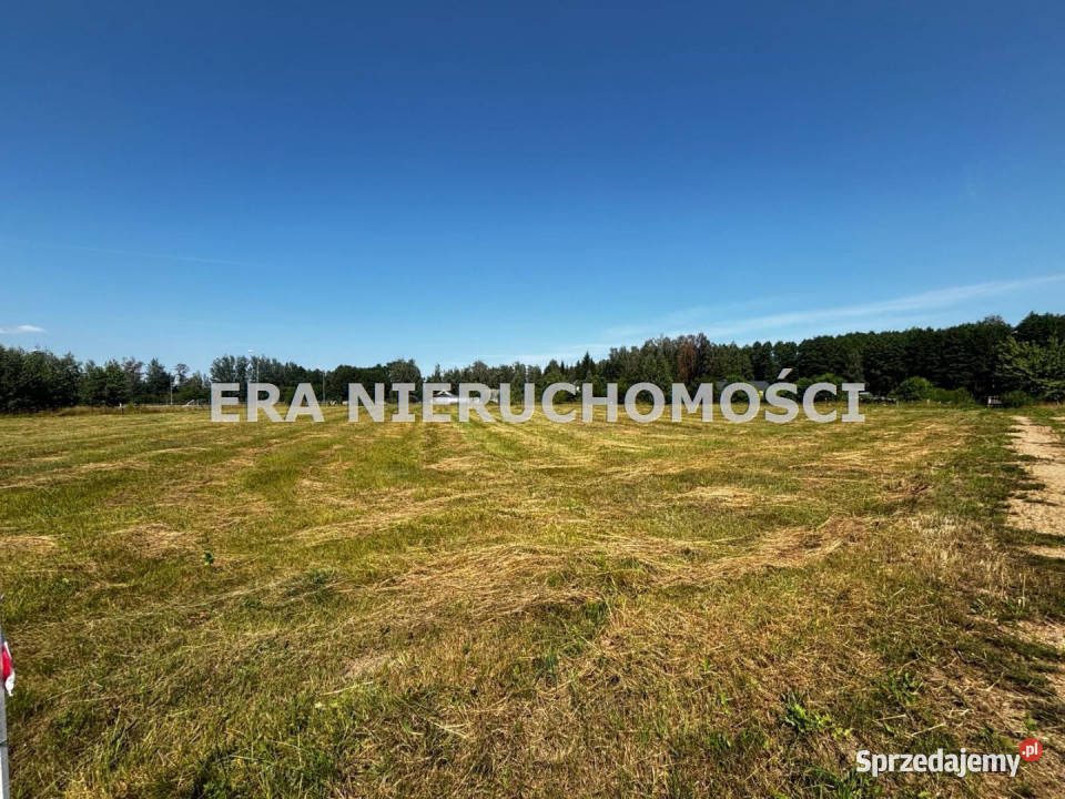 Grunt 1689m2 Rogowo