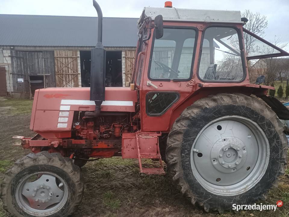 Sprzedam ciągnik rolniczy ltz 55 MTZ Gzy