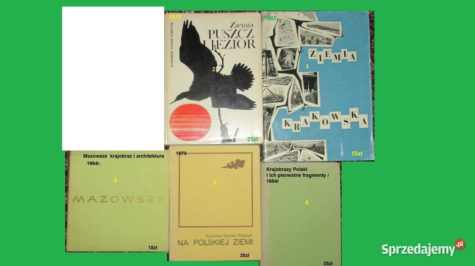 Na Mazowszu KSaysse Tobiczyk krajobraz Mazowsze łódzkie