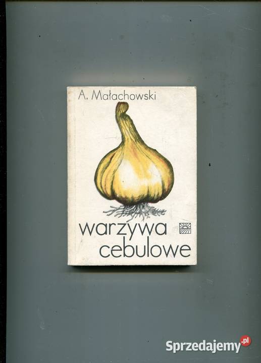 Warzywa cebulowe Małachowski Szczecin