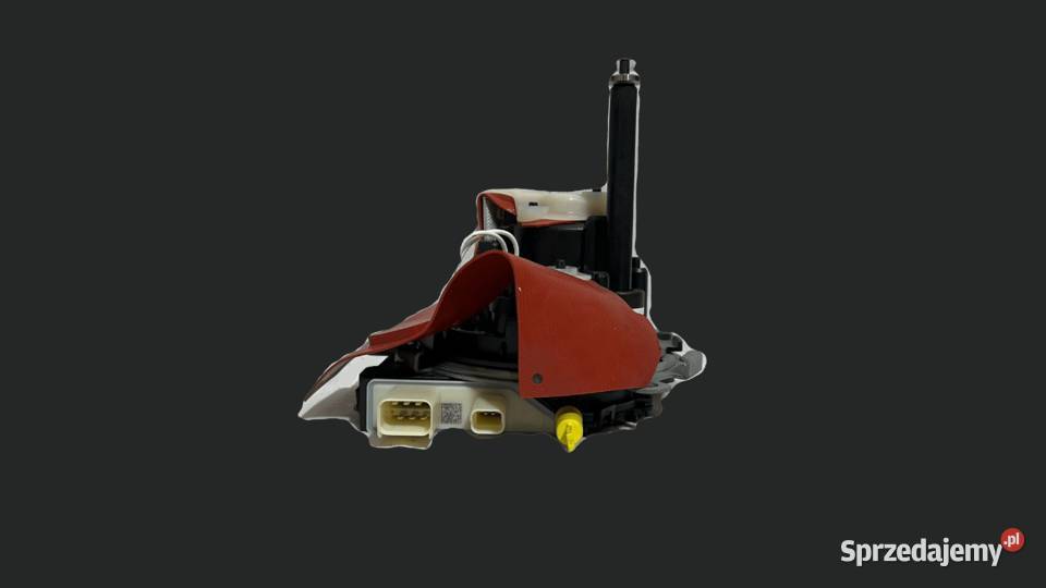 Naprawa pomp AdBlue 204629590R 204620353R Katowice