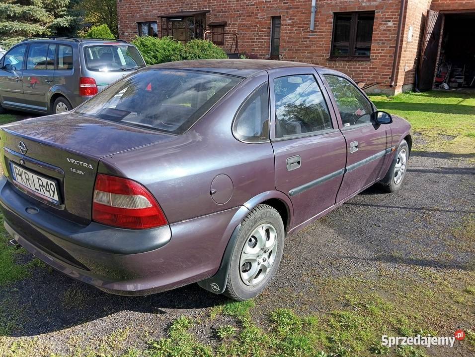 Opel Vectra B 16 16v 1996 wielkopolskie