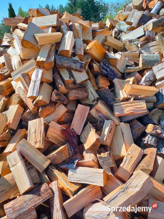 Drewno Buk brzoza olcha sosna Recz