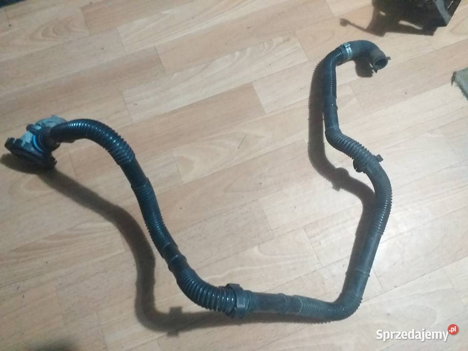 Pompa SAI Pompa Wtórnego Powietrza Citroen Xsara Brześć Kujawski