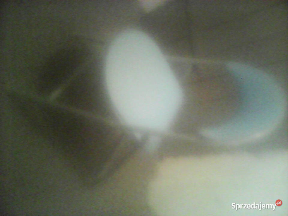 Krzesło turystyczne aluminiowe skladane