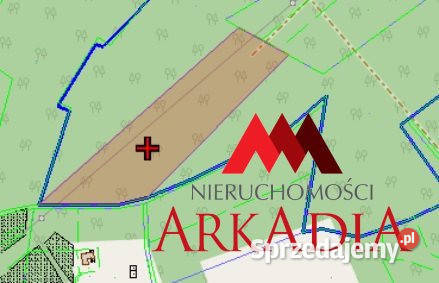 Działka 12600m2 Bobrownickie Pole