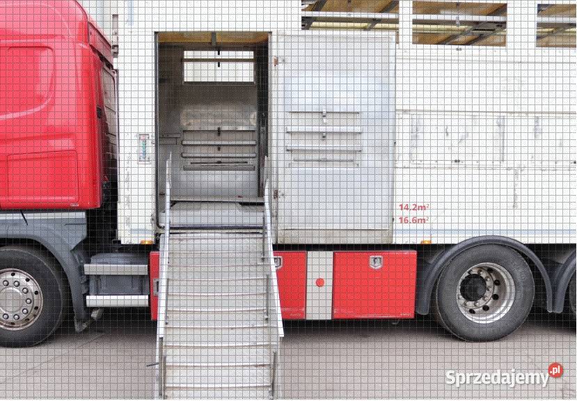 Scania R 490 Eur 6 do przewozu zwierzat do sprowadzenia Motoryzacja Warszawa