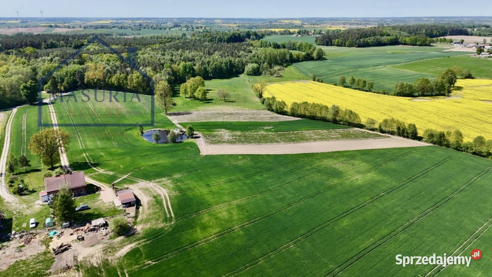 Działka lesie 15 min Iławy i Jezioraka Sprzedaż Gulb sprzedam