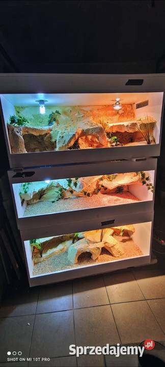 Okazja terrarium agamy gekona żółwia węża Białystok