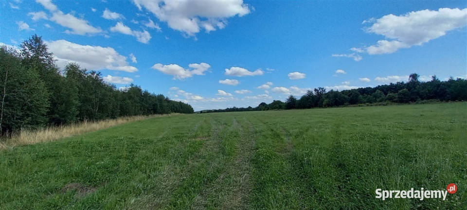 Działki w Cieszowie Cieszów