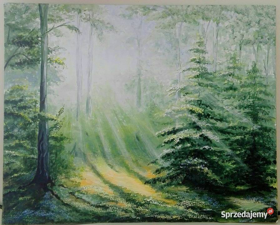 Obraz ręcznie malowany Poranek w lesie Łódź