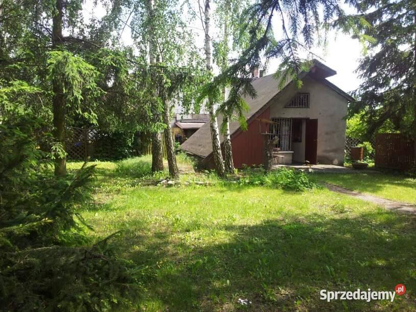 Działka ROD Przyszłość 450 mk Sprzedaż Grudziądz