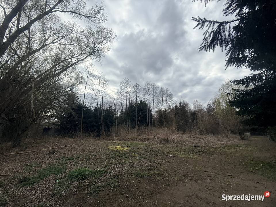 Piękna działka rekreacyjna w otulinie lasu 50 Bruliny