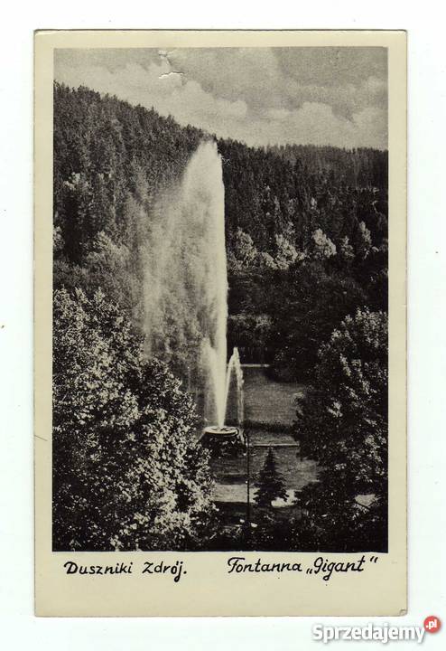 DUSZNIKI ZDRÓJ FONTANNA GIGANT POCZTÓWKA CZARNO Krynki sprzedam