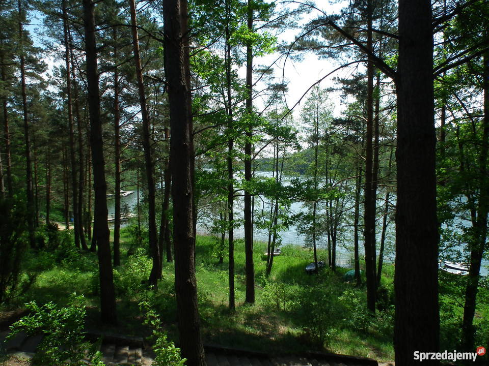 Sprzedam domek letniskowy w okolicach Ostródy Ostróda