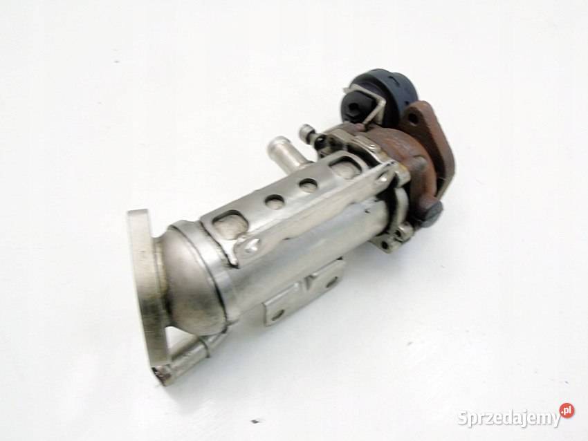 CHŁODNICA SPALIN EGR 20 DCI TRAFIC 2 VIVARO Sosnowiec