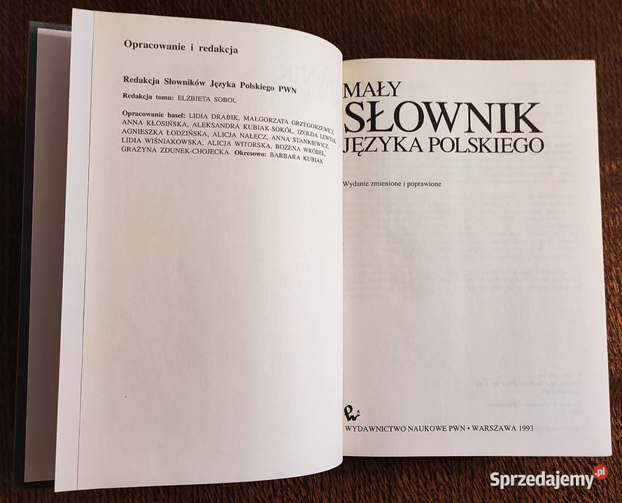 Idealny stan Elżbieta Sobol i in Mały słownik