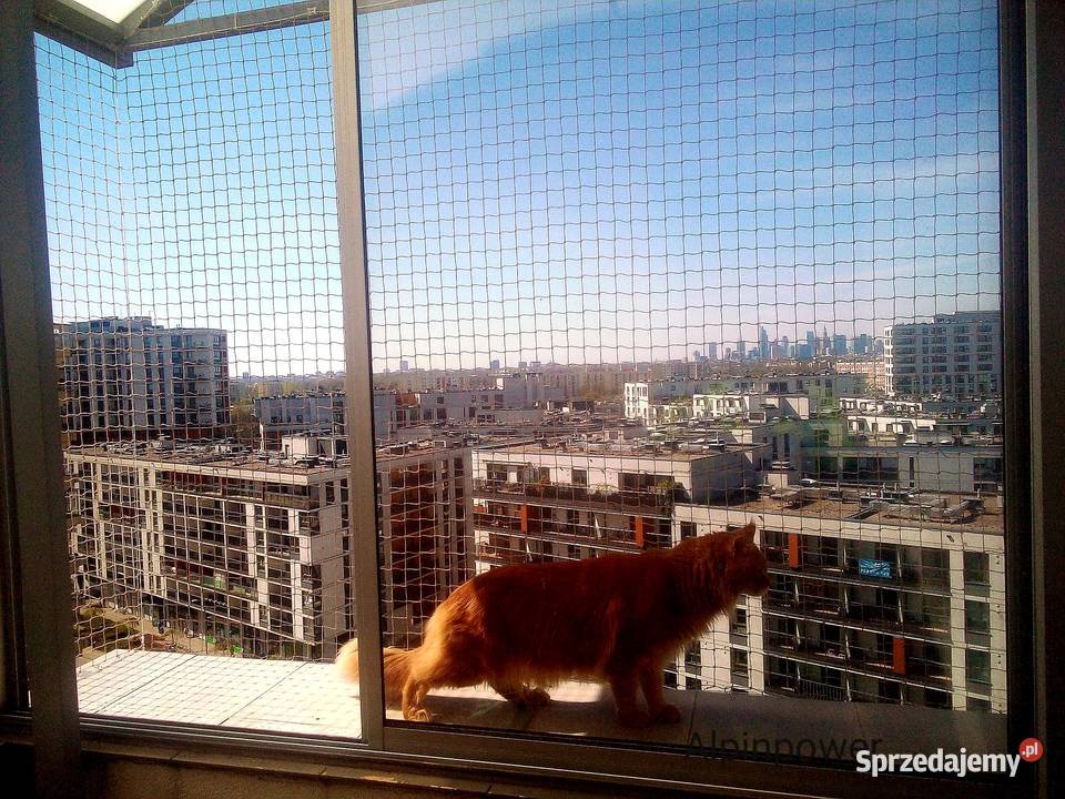 Siatki zabezpieczające balkon kota Warszawa