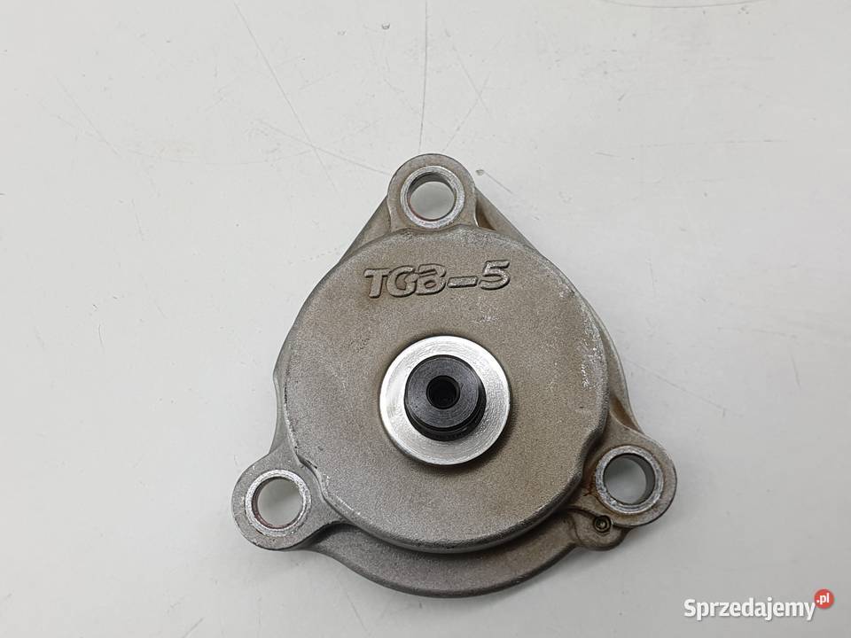 POMPA OLEJU ROTOR TGB BLADE 550 EFI TGB TARGET Janowice