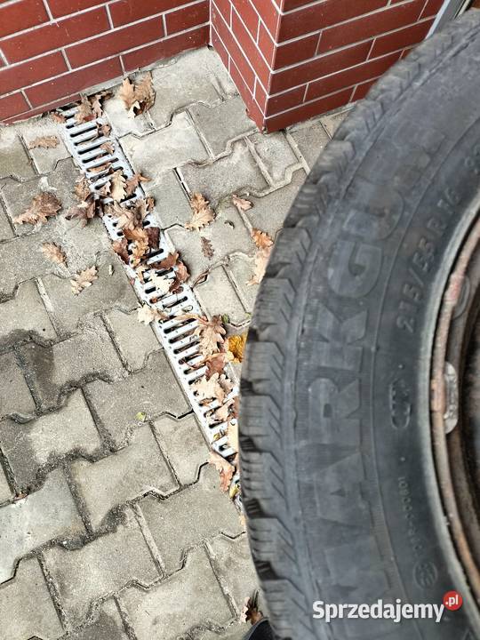 koła zimowe do Citroena rozmiar 215 55 r16 Rzeszów