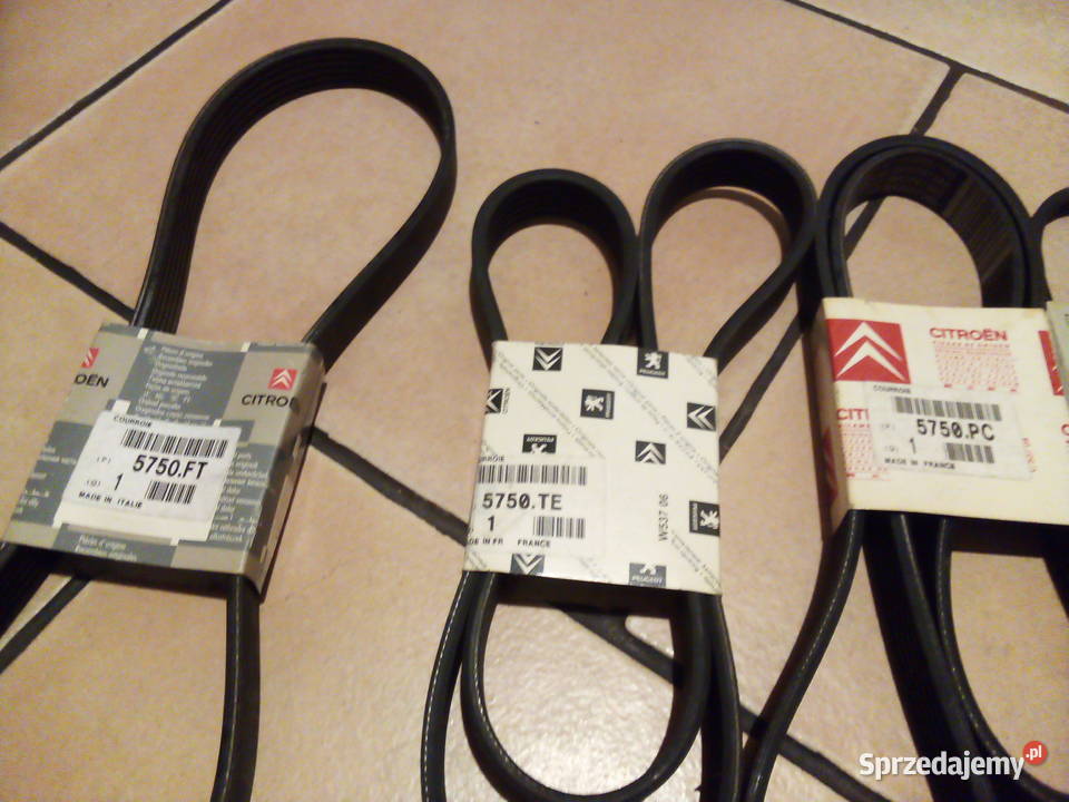 Pasek klinowy wielorowkowy CitroenPeugeot Leszno