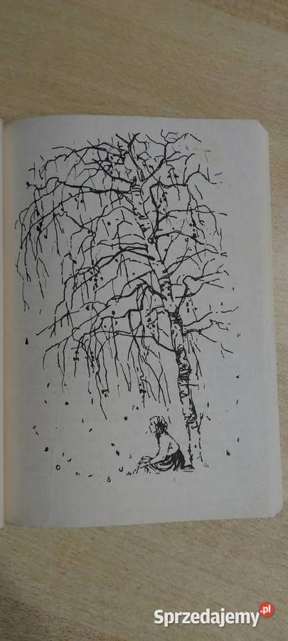 Rolla ze złotego brzegu