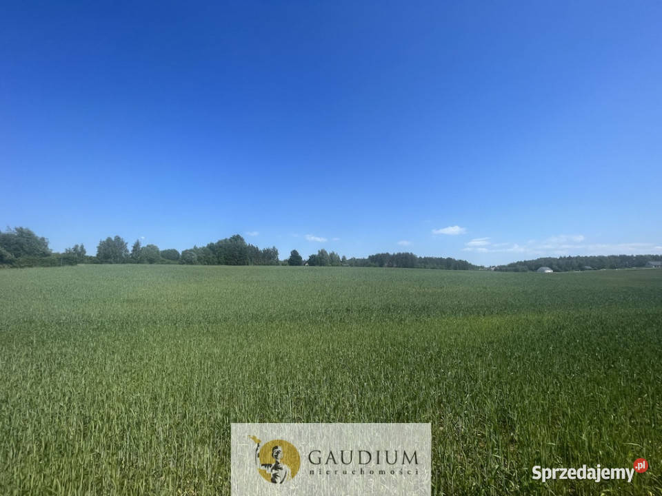 Działka o powierzchni 3012 m2 I gm Kolbudy sprzedam