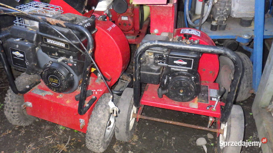 Dmuchawa Spalinowa z Napeadmi Briggs Stratton Rzeszów