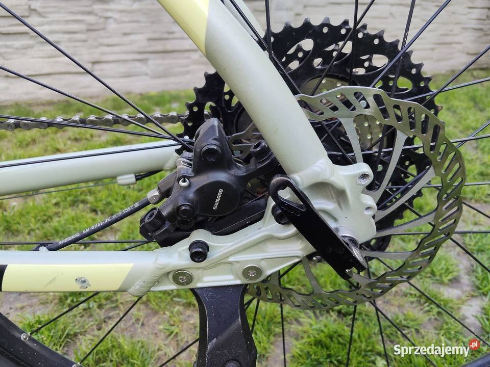 Rower Kellys spider 90 rama L koła 29 ZIELONY