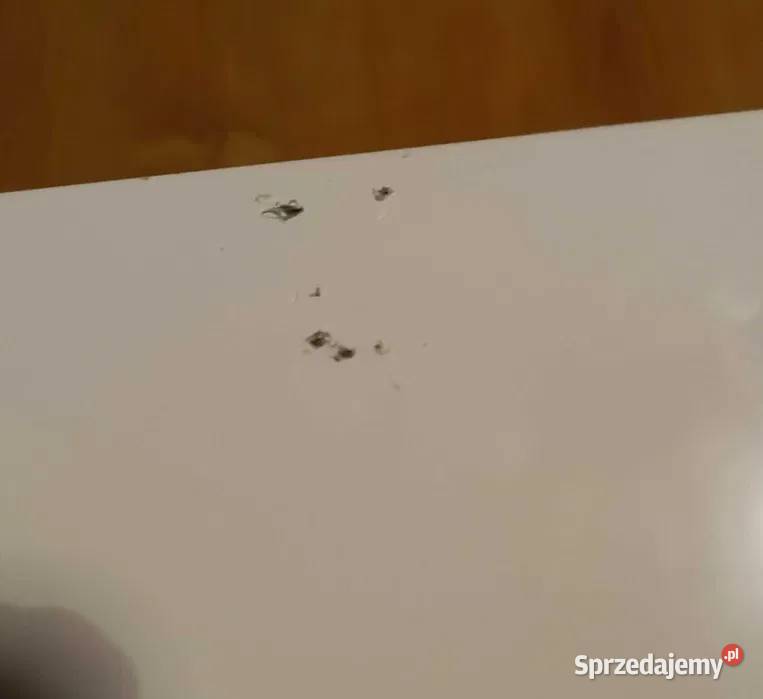 Podgrzewacz wody gazowy Poznań