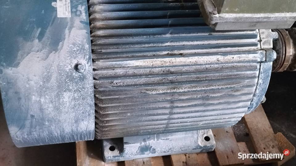 Silnik elektryczny 22kw586obr do elektrowni kujawsko-pomorskie Toruń