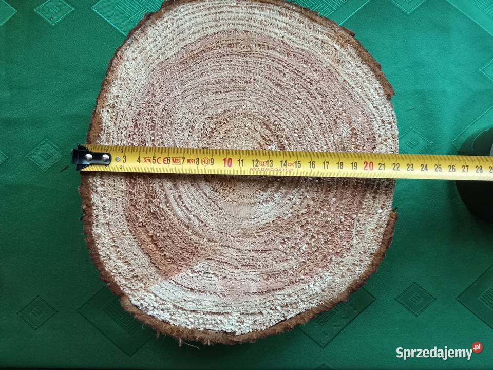 Duży krążek z naturalnego drewna Pozostałe łódzkie