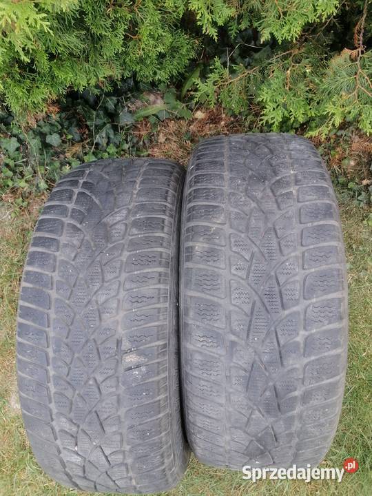 Opony zimowe Dunlop 22550 R17 50 Kozłówka